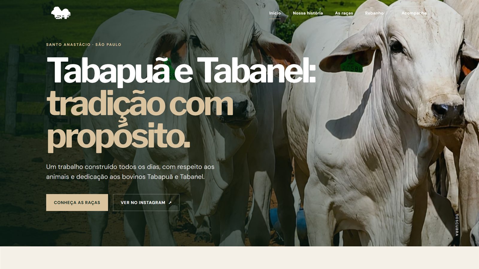 Página inicial da landing page criada pela NK Digital para a Tabapuã SAF
